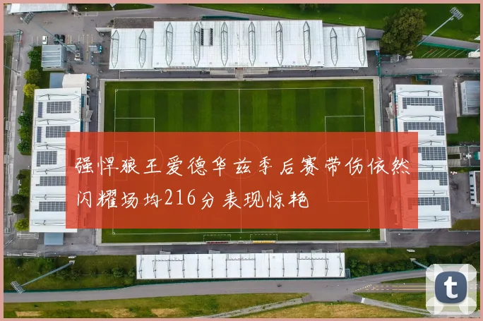 强悍狼王爱德华兹季后赛带伤依然闪耀场均216分表现惊艳